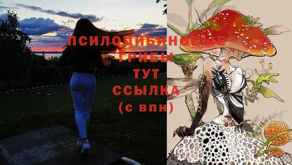мдма Коряжма