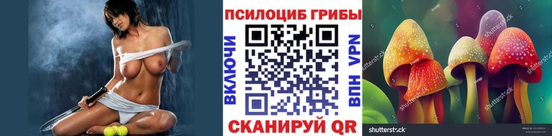 Купить где  Георгиевск  Галлюциногенные грибы мицелий 